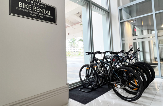 Bike Rental