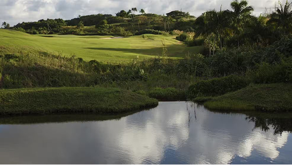 BOUGAINVILLEA COURSE