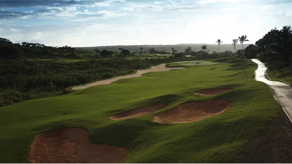 HIBISCUS COURSE